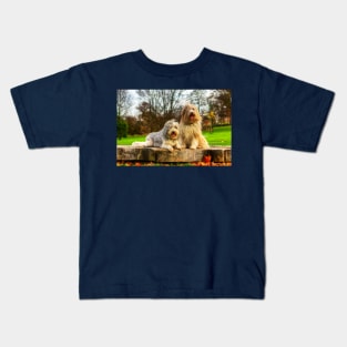 Bearded Collies Posing In The Wind Kids T-Shirt